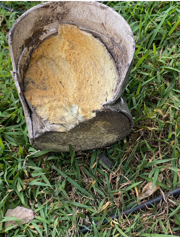 Resin in pipes failure